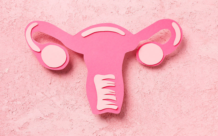 Shapewear for Your Period? Actually... Yes.