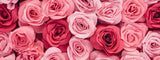 Outfit Inspo: Valentine's Day